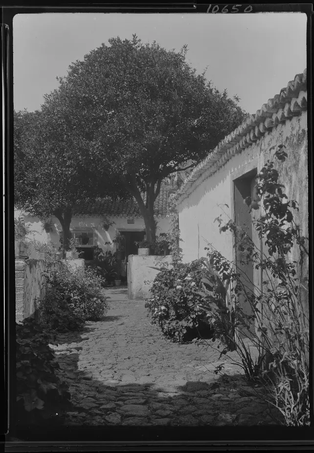 Casa de campo. 